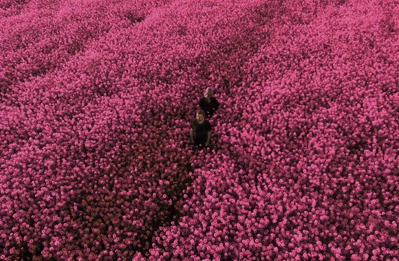 Elenos Puidokaitės-Atlantos ir Stanislavo Stavickio-Stano klipo filmavimas