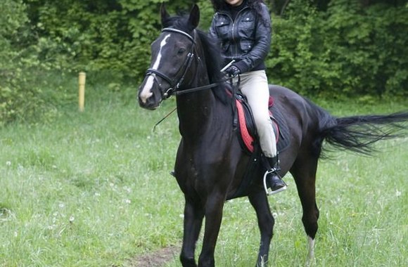 Alicija dievina žirgus