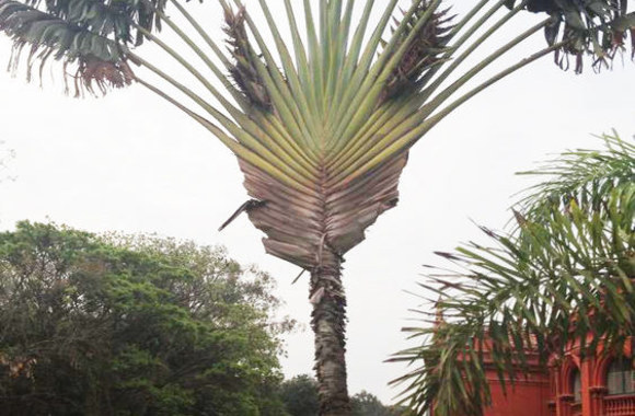 Viešnagės Indijoje akimirka