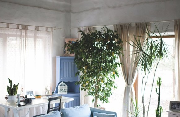 Eigirdo Scinsko namų interjeras