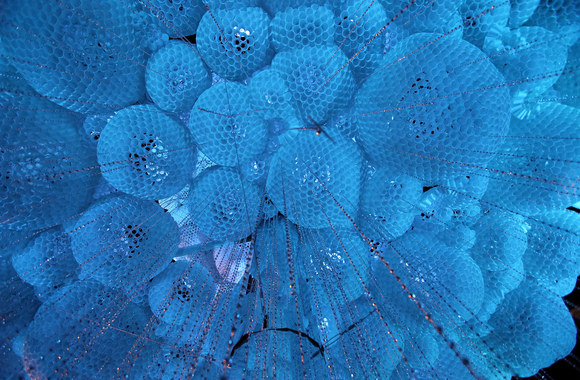 Eglės įžiebimo akimirkos