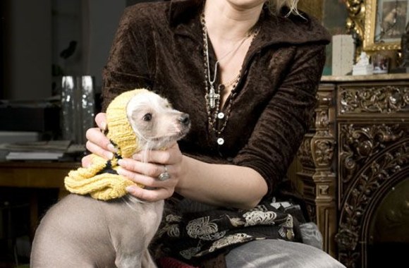 Žvaigždžių augintiniai  