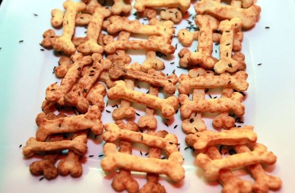 Laidos "Keturkojis šou" pristatymas 