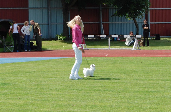 [r]Inga Stumbrienė[/r] šunų parodoje