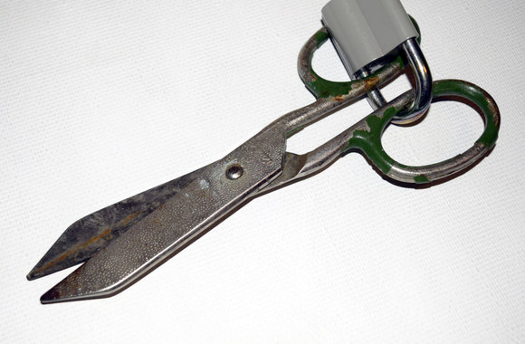 „Laisvas žmogus“ paroda