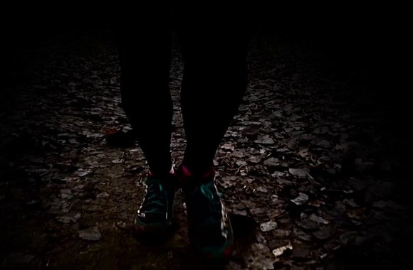 laukinis-trail-nakties-miskas