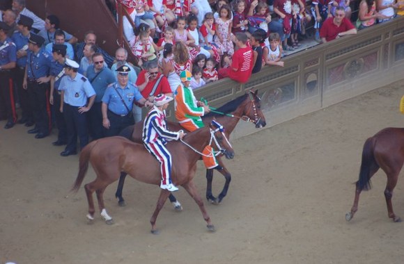 Žirgai eina starto link.