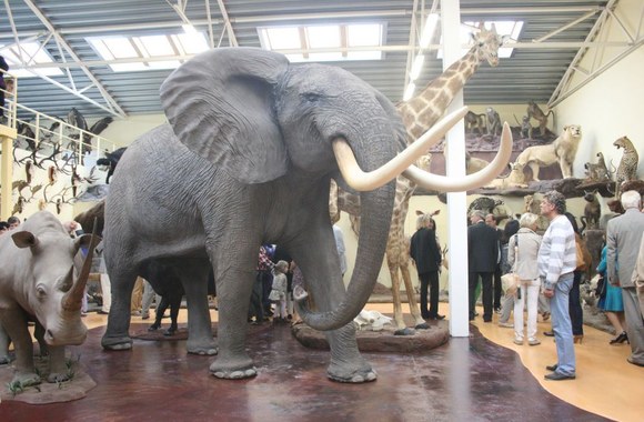 Antanas Bosas svečiams atvėrė trofėjų muziejų.