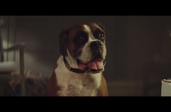 john-lewis-christmas-advert-2016-bustertheboxer
