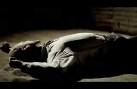 infected-mushroom-becoming-insane