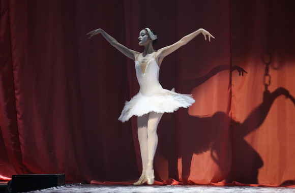 Kolekcijos „Šou“ pristatymas