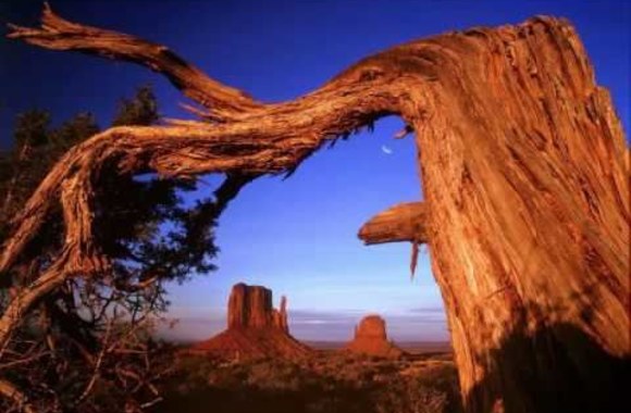 gg-sindikatas-dykuma