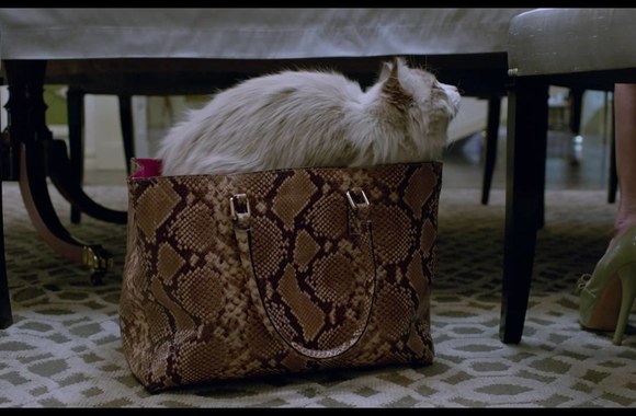 komedijos-devyni-gyvenimai-anonsas