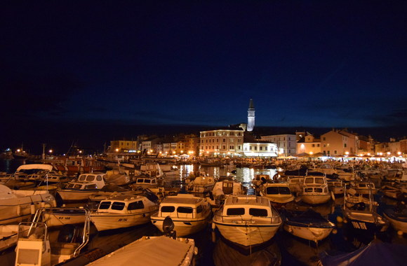 Linos ir Arvydo Anušauskų kelionės akimirka