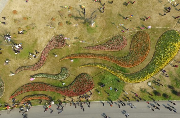 Daugiau nei milijonas žiedų tulpių parodoje Kinijoje