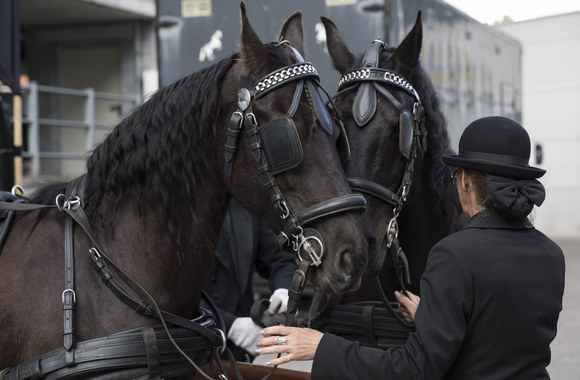 Vilniaus indėnu vadinamas vyras Donatas Dubauskas karieta keliavo per sostinę