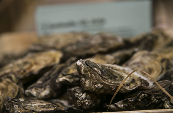 Lietuvoje jau  trečią kartą vyksta Austrių festivalis