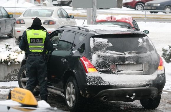 Raminta Babrauskienė