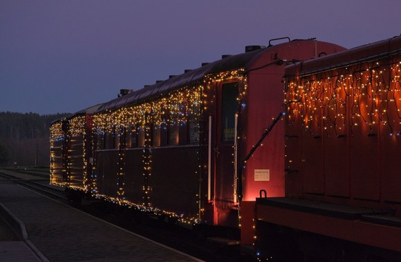 Kalėdinis siaurukas / Vaido Pupelio nuotr.