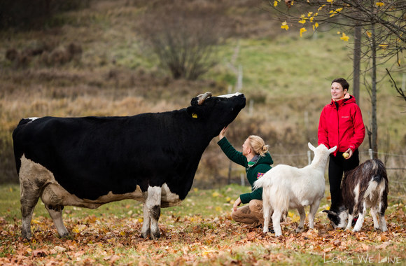 Edvardo Stalionio gyvenimo vienkiemyje akimirka
