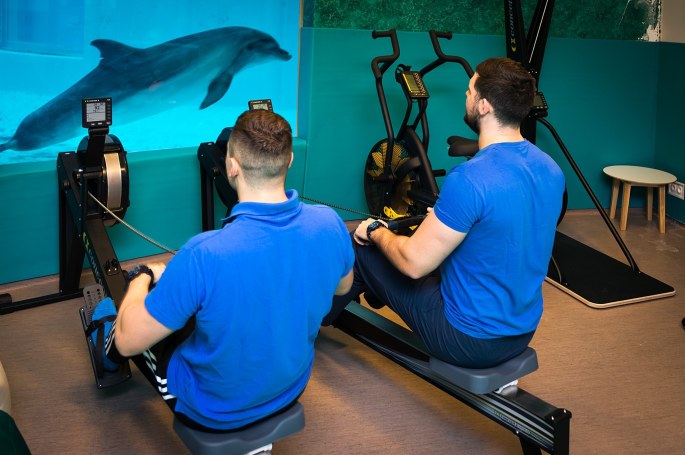 Delfinų asistuojama terapija Lietuvos jūrų muziejuje