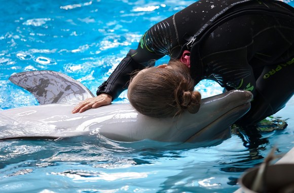Delfinų asistuojama terapija Lietuvos jūrų muziejuje