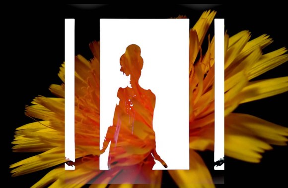 2-donatai-kai-kas-vakara