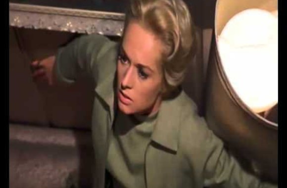 VIDEO kadras: Paukščiai