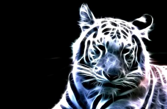 VIDEO kadras: Mia Aš Likau (Juodas tigras) Nauja Daina 2014