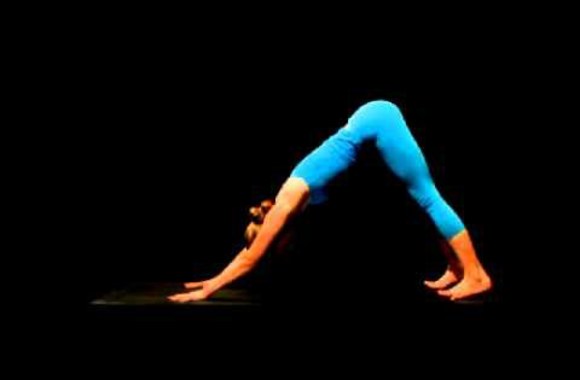 VIDEO kadras: Joga: žemyn žiūrinčio šuns poza