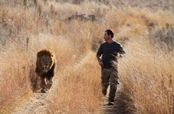 VIDEO kadras: Liūtų užkalbėtojas Kevinas Richardsonas