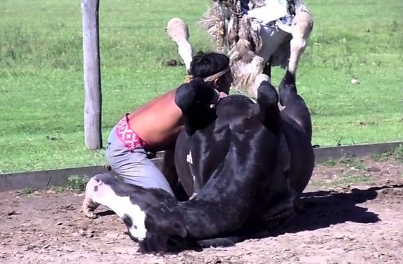 VIDEO kadras: Martino Tatta pasirodymas