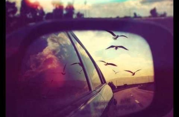 VIDEO kadras: Lemon Joy - Mylėt Tave Taip Beprotiška Ir Keista (Lukas Grinys Rework)