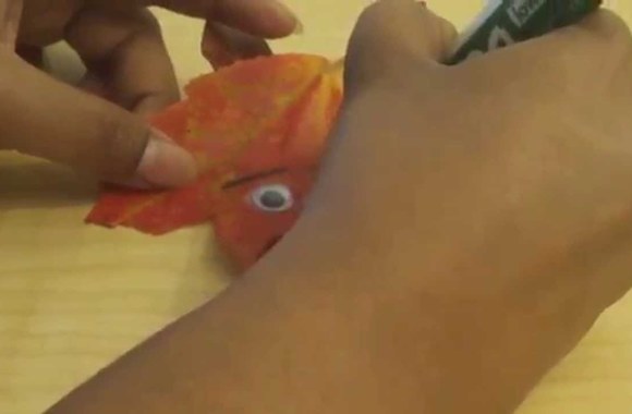 VIDEO kadras: Juokingi veideliai iš rudeninių lapų