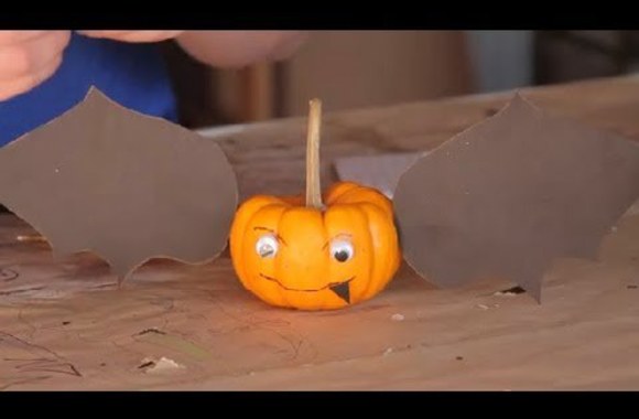 VIDEO kadras: Rudeninis darbelis iš moliūgo