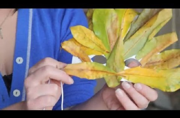 VIDEO kadras: Kaukė iš rudeninių lapų