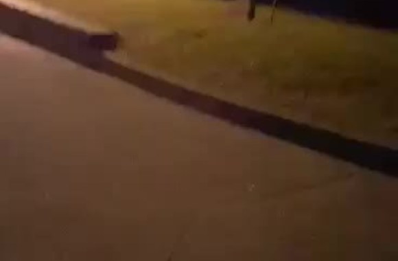 56dc707dbee69video_56dc707c719ed