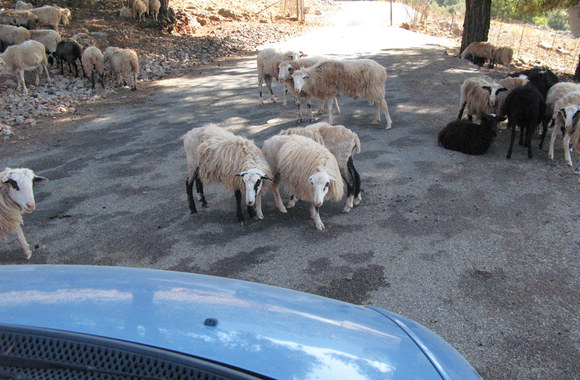 Kreta žavi ne tik savo istoriniu paveldu, bet ir gamta