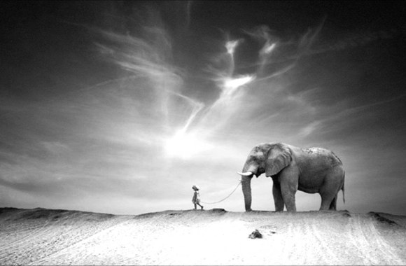 VIDEO kadras: Ten Walls - Walking with Elephants (Original Mix)