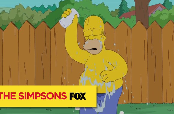 VIDEO kadras: Houmeris Simpsonas priima ledinio vandens iššūkį