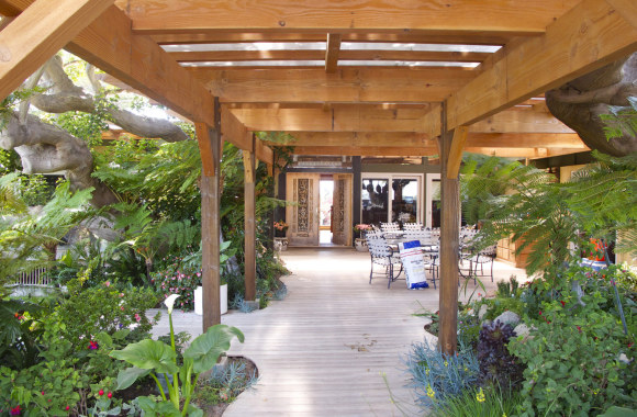 Robino Thicke'o namai