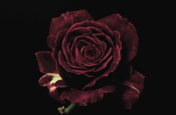 naktines-personos-saules-kraujas