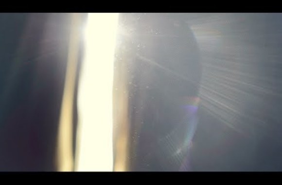 the-dna-project-website-intro