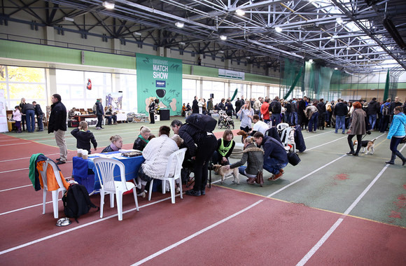 Šunų parodos akimirka