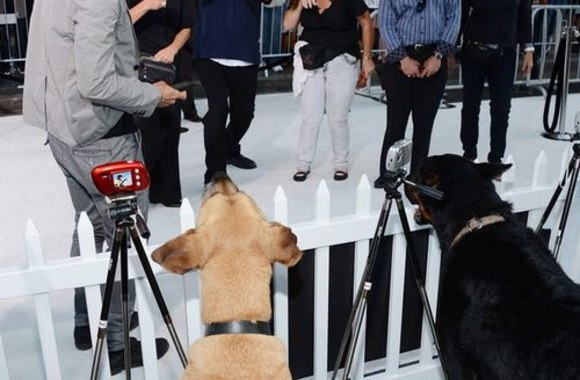 „Frankenweenie“ premjera