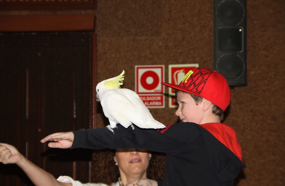 Agnės Zacharevičienės sūnus Robertas