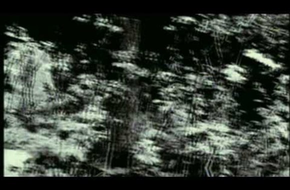 VIDEO kadras: HIM - Gone With The Sin