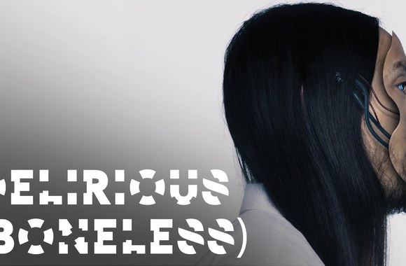 VIDEO kadras: Delirious (Boneless) ft. Kid Ink - Steve Aoki, Chris Lake, Tujamo