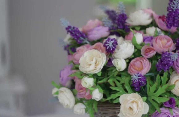 VIDEO kadras: Monika Šalčiūtė | Backstage