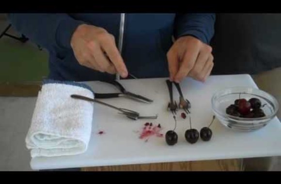 VIDEO kadras: Kaip iš šakutės pasidaryti vyšnių kauliukų išėmimo įrankį